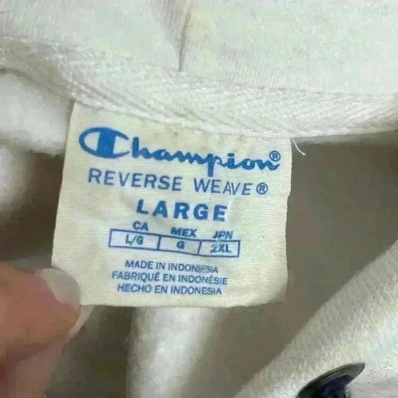 Champion Reverse Weave Color Block Hoodie - Picture 7 of 9